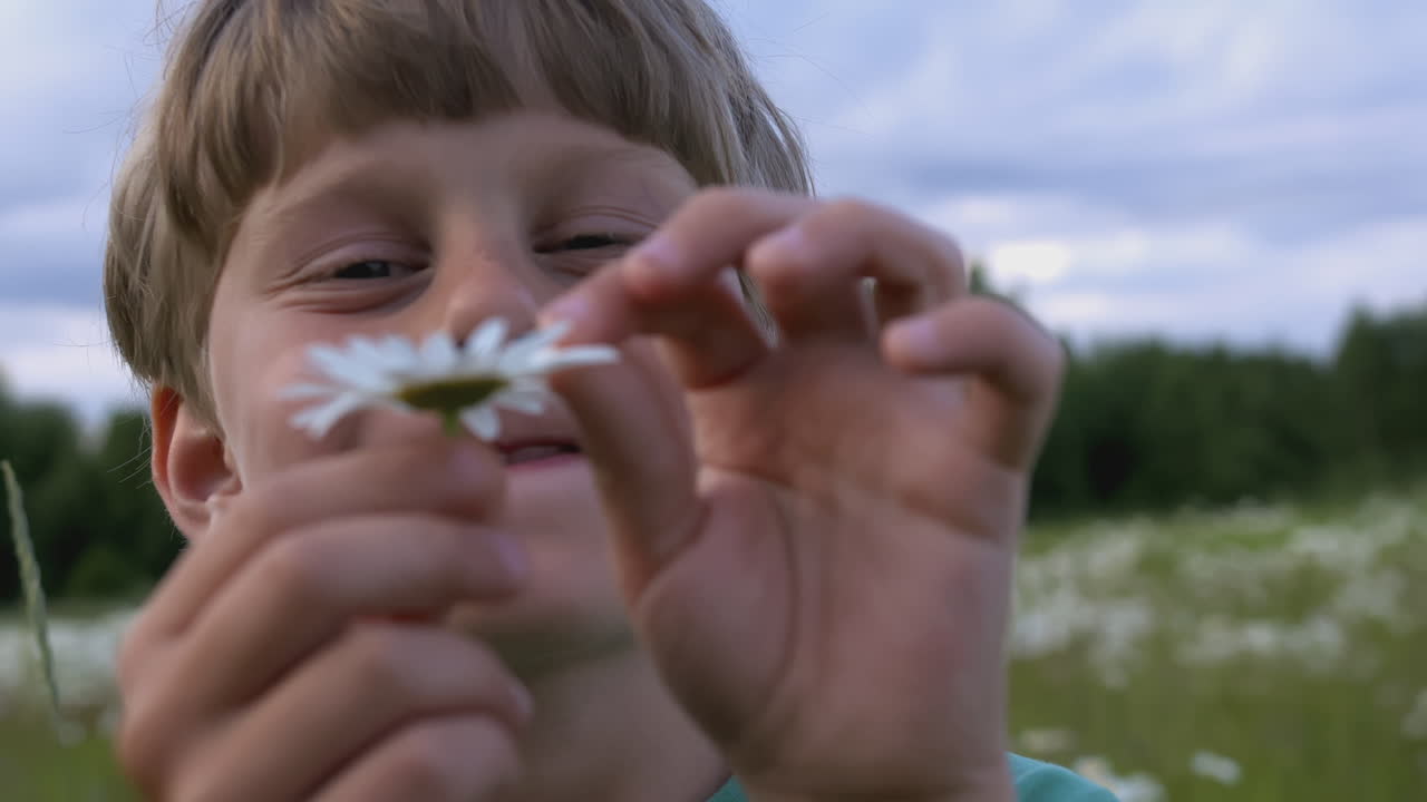 un niño oliendo una margarita en un campo.
