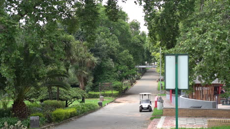 wide shot of a tree-lined walkway in the johannesburg zoo, south africa