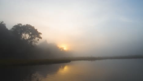 misty dawn over the lake tranquil and soothing to the eye