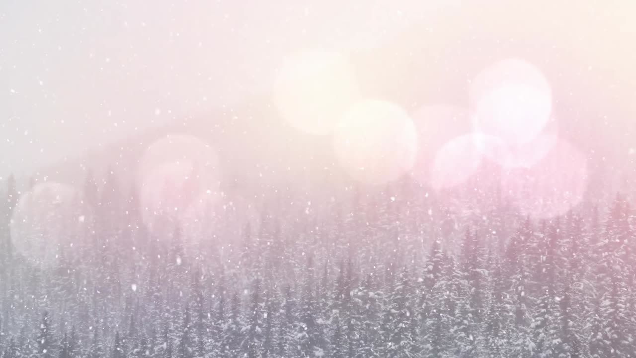 소나무와 함께 겨울 풍경 위의 스의 애니메이션