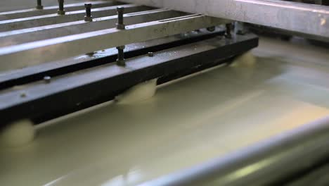 balls of raw dough transferred over conveyor belt in bread factory