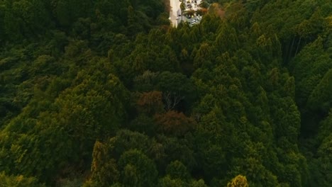 el paisaje cinematográfico de japón filmado por dji phantom4pro
