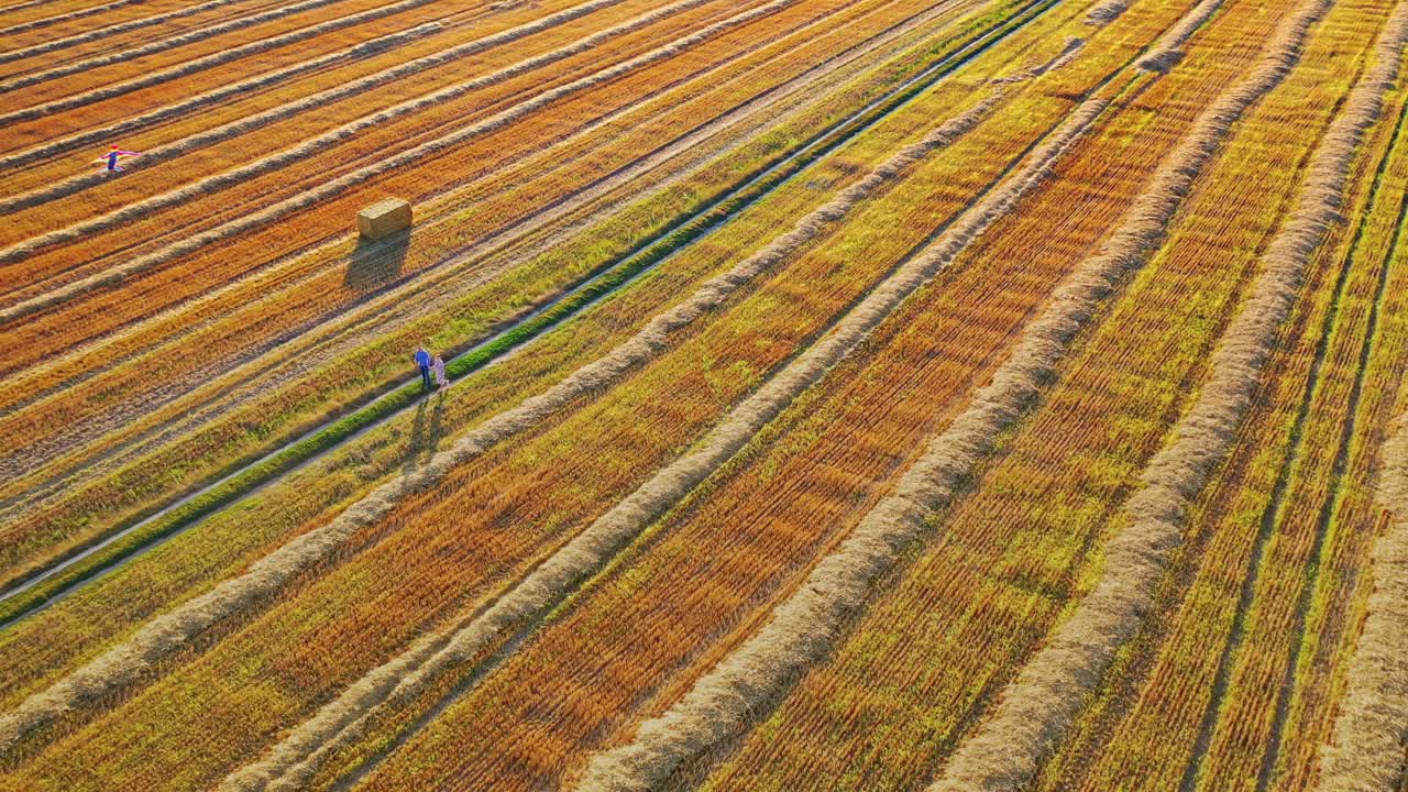 Aerial view on a yellow field and a loving couple. Happy man and woman running together with a kite on the field. Dating concept.
