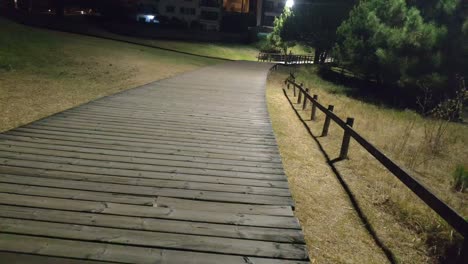 group-of-young-people-walking-along-the-overpass-built-in-wood-between-the-lights-of-the-lampposts-at-night