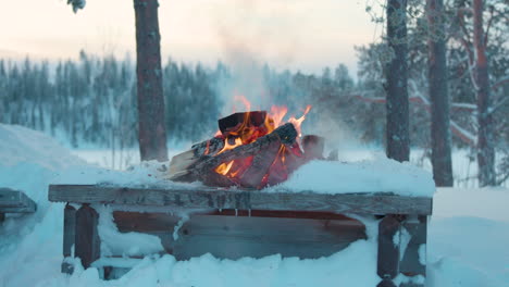 lapland snow covered campfire stove with charred firewood logs burning outside