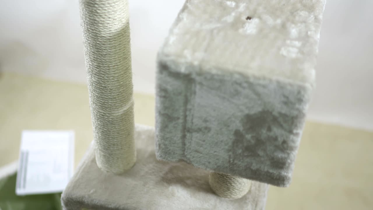 거실에서  나무 타워 등반기를 바닥에서 천장에 조립합니다.