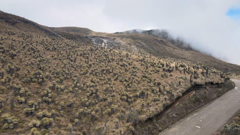 Parque-De-Los-Nevados---Wonderful-Landscapes-Of-Colombia-8