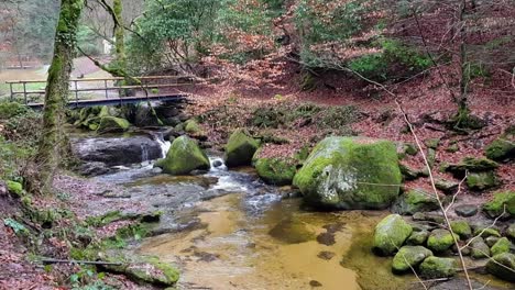 pequeña cascada y arroyo bajo el puente del bosque con rocas en el agua en el bosque negro, alemania