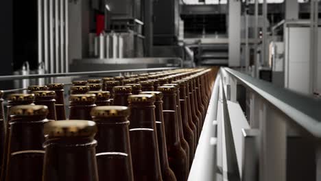 beer bottle production line in brewery
