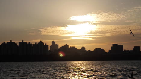 city sunset over river