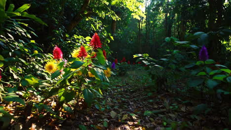 tropical forest pathway with colorful flowers
