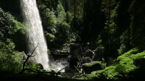 beautiful and powerful waterfall in the forest - north falls in silver falls state park, oregon, united states of america - wide, static shot