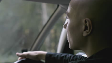 man driving a car through forest