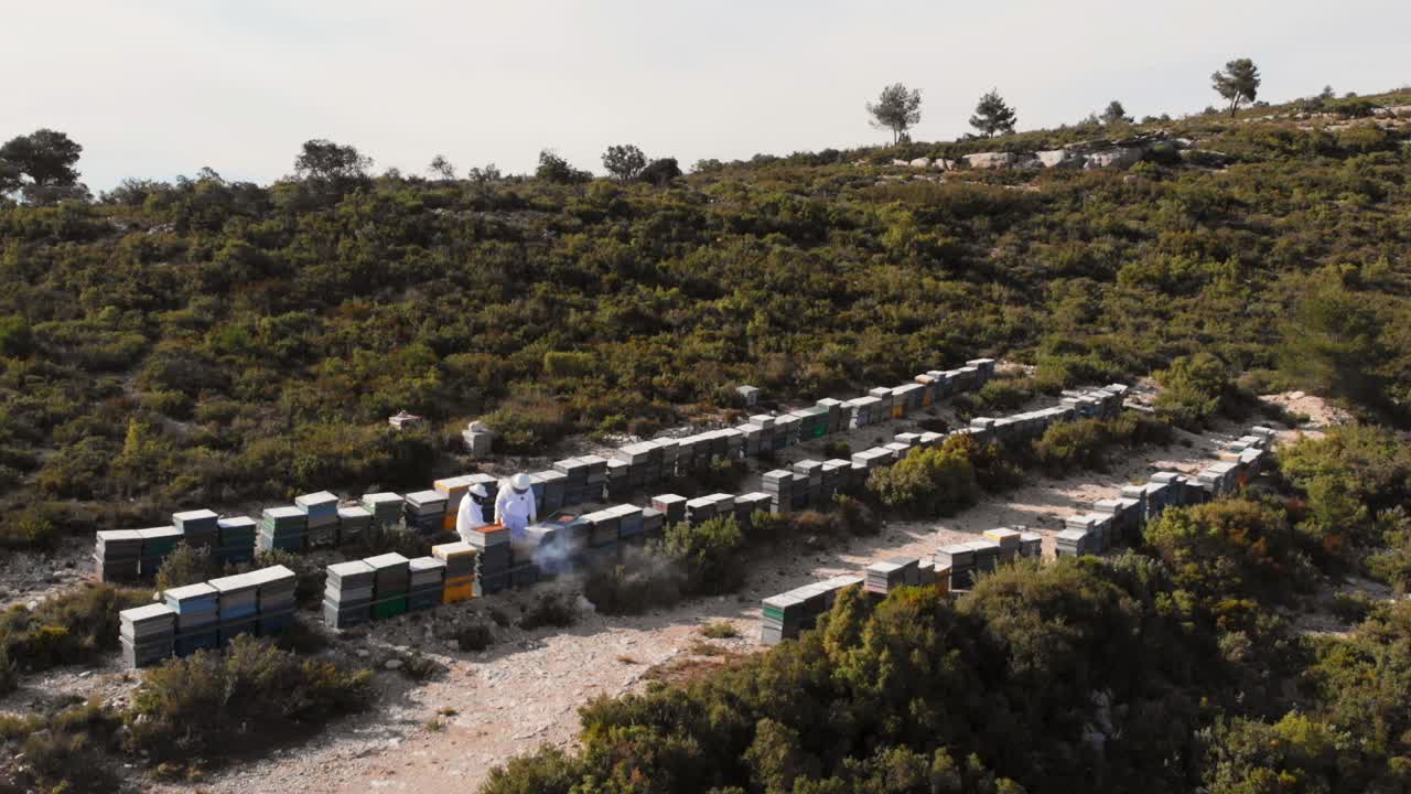 vista de drones de apicultores recolectando miel del apiario entre árboles