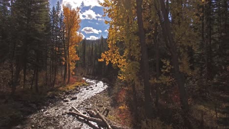 aerial drone shot panning down a creek or stream in the fall or autumn in montana