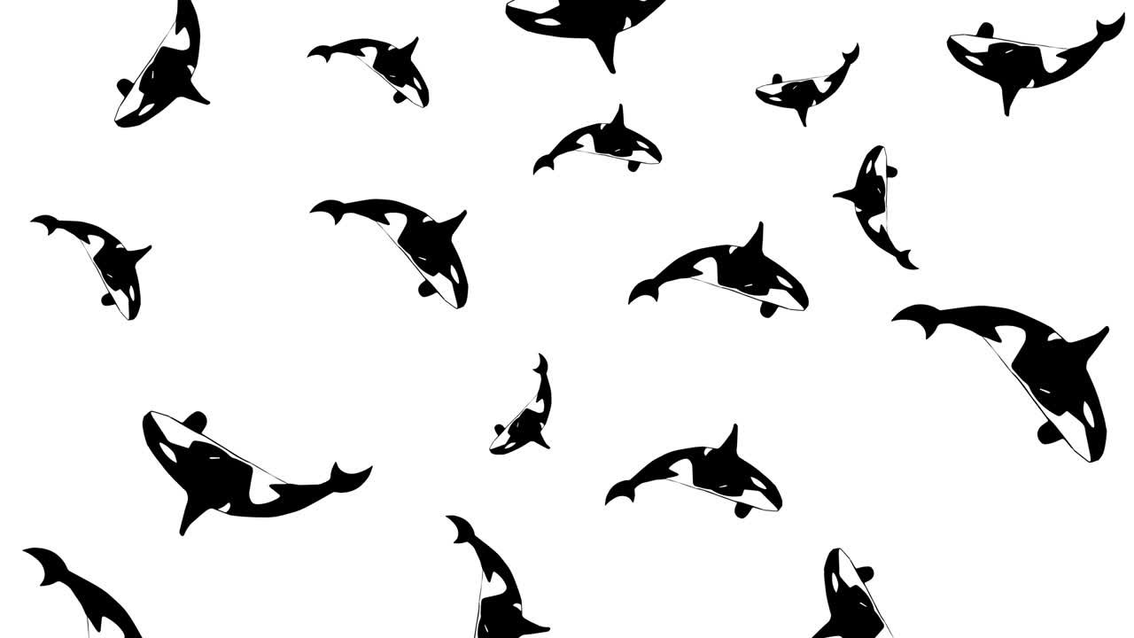 animação de baleias abstratas de fundo. 4k. loop vj.
