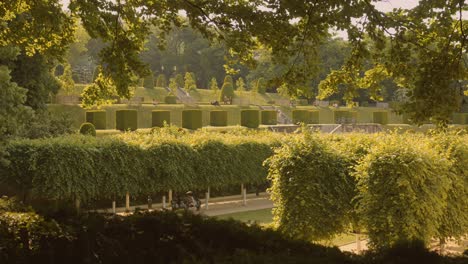 plantas ornamentales en el parque paisajístico de la abadía de la cambre en un soleado día de verano en bruselas, bélgica