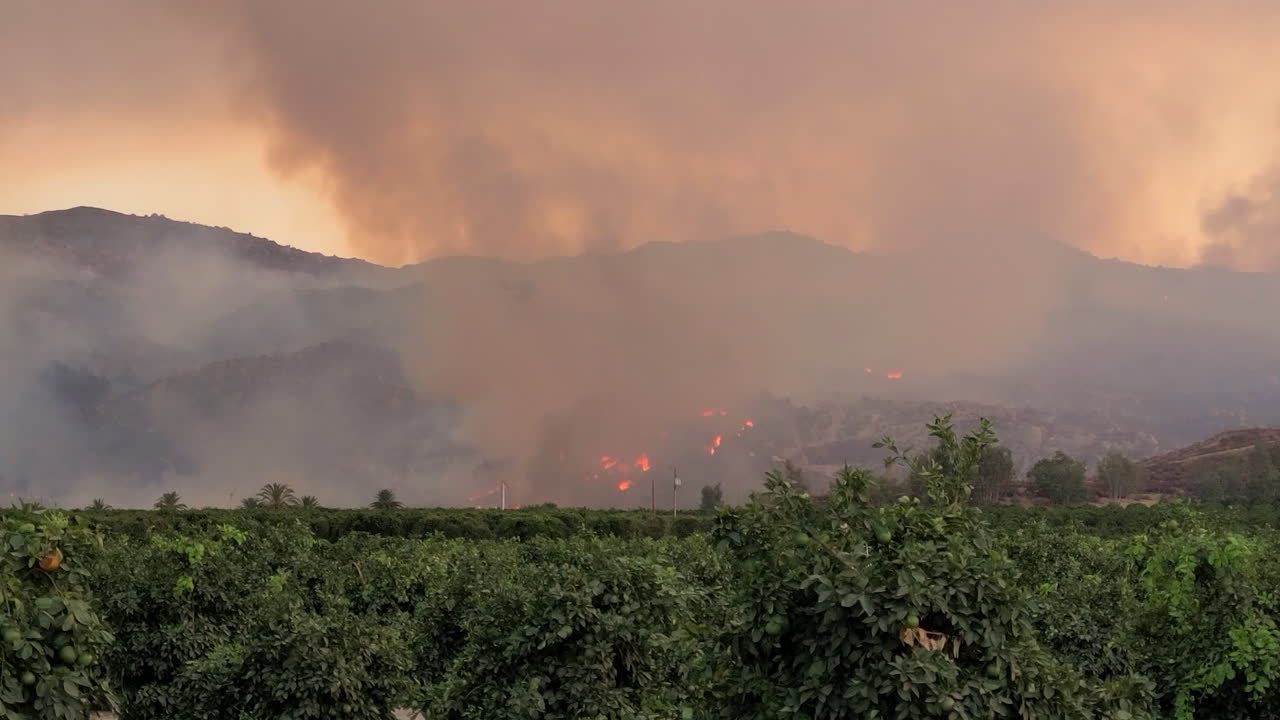 캘리포니아 헤멧의 대형 산불 자연재해