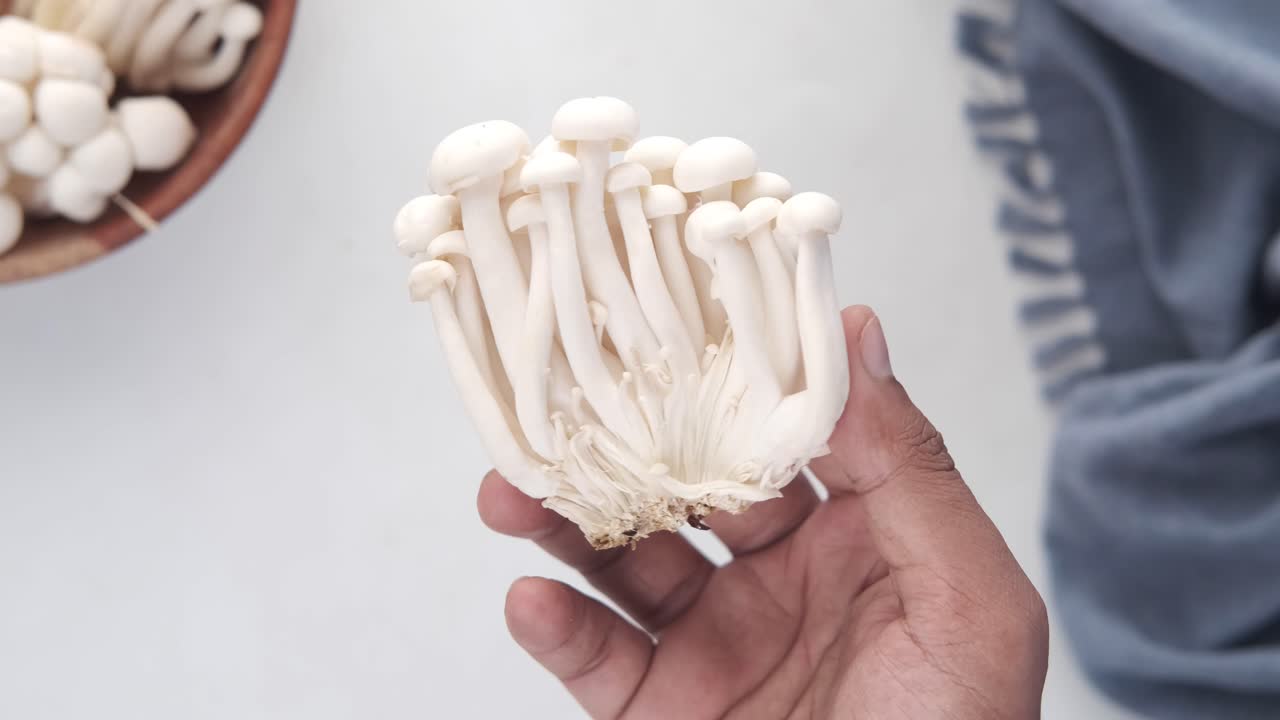 setas blancas frescas