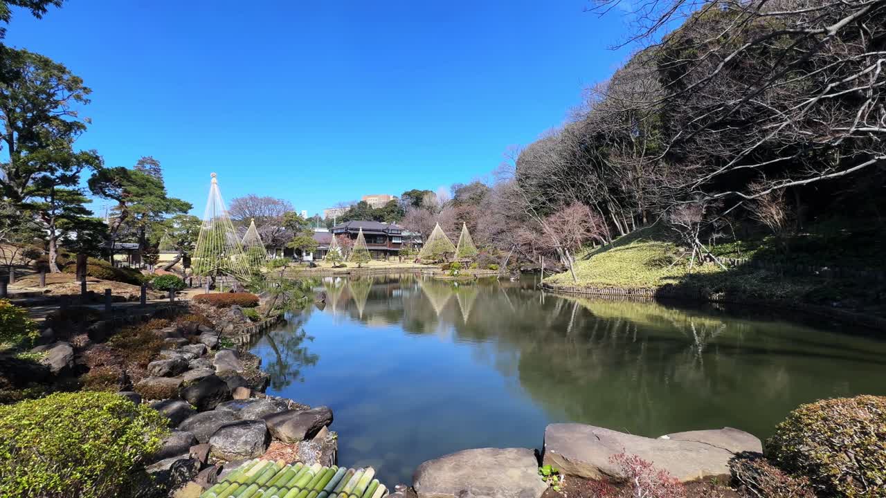 Peaceful Japanese garden with pond reflecting trees and clear blue sky in Tokyo