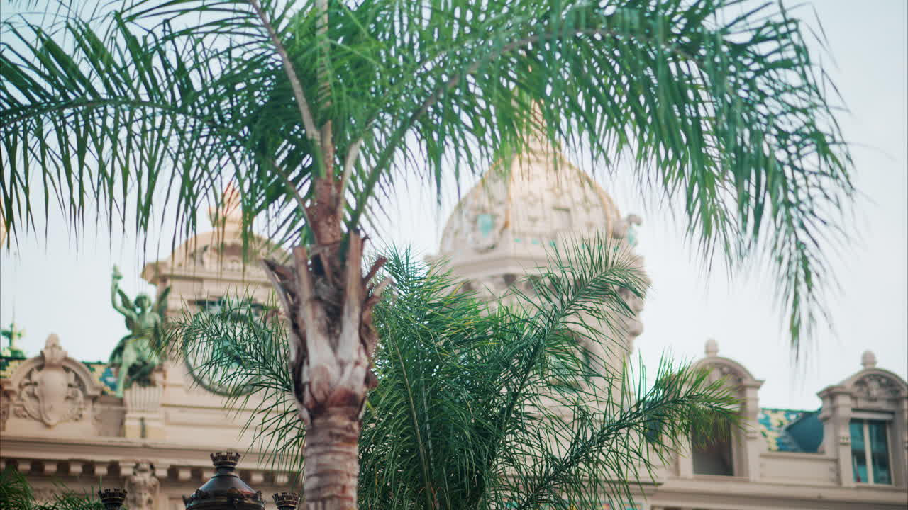 Front view of the Monte-Carlo Casino behind a palm tree, Monaco