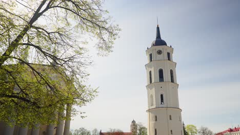 cathedral of vilnius lithuania white bell tower on sunny day handheld