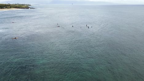 Surfers-in-the-Lineup-waiting-for-Waves-on-Maui-Hawaii-Island-in-Pacific-Ocean,-Aerial