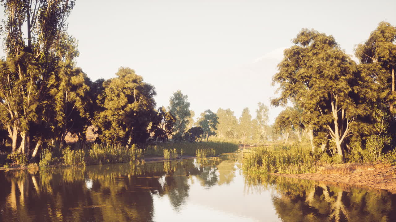 Serene river surrounded by lush trees and greenery at dawn