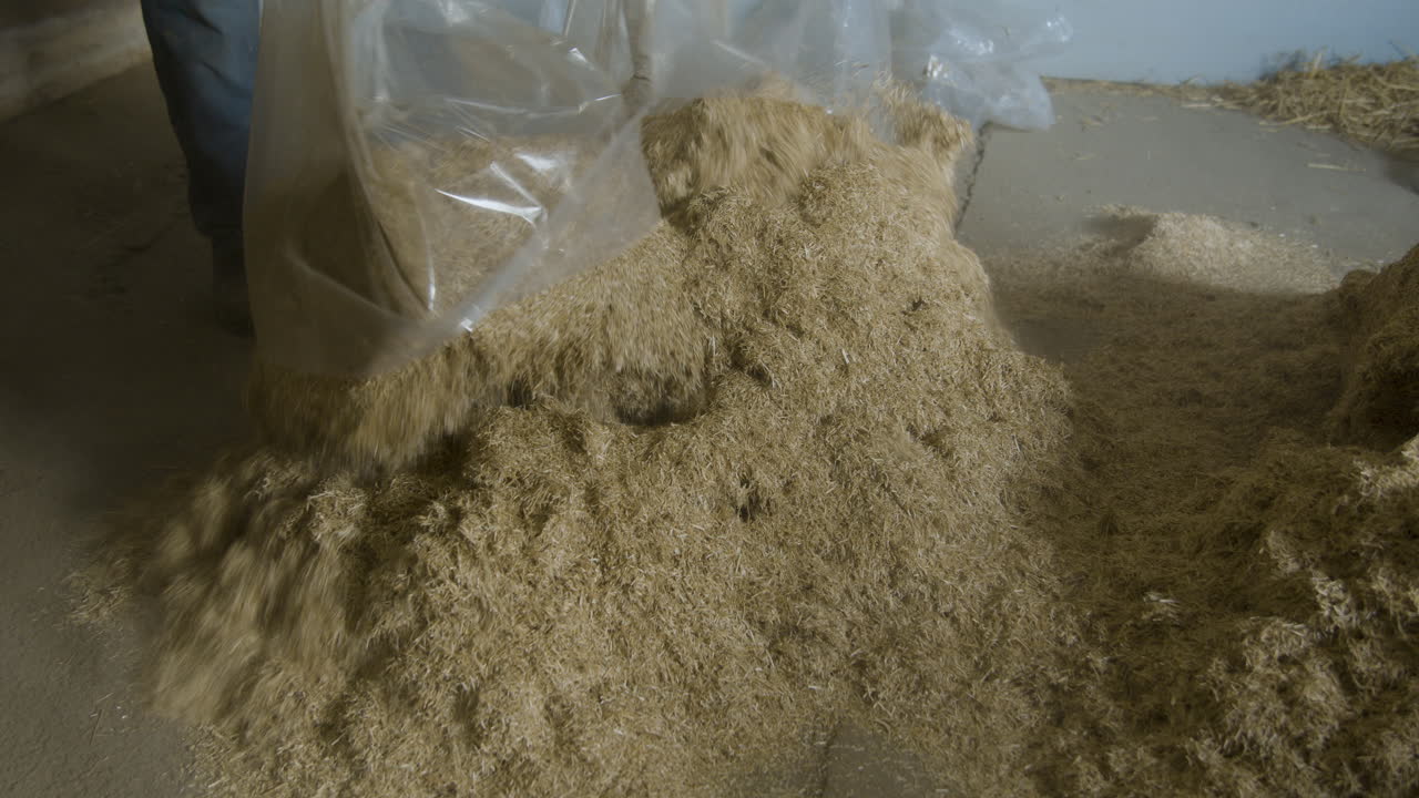 농부가 큰 짚단을 잘라 바닥에 버리는 모습