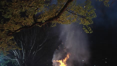 smoke and flames rise towards trees at hachiman matsuri, shiga japan