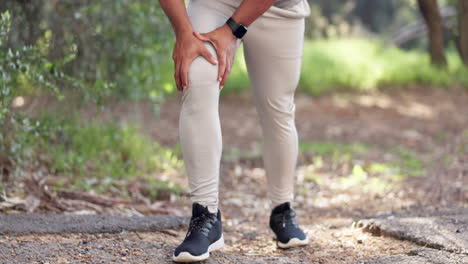 forest, runner and man with fitness