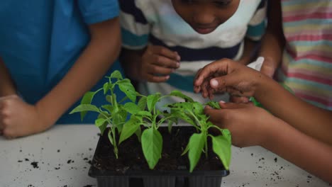 diverse group of happy schoolchildren looking after plants in classroom during nature studies lesson