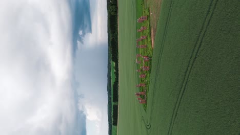ruinas de un antiguo edificio que se parece a stonehenge, smiltene, letonia