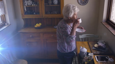 animation of light moving over senior caucasian woman in kitchen looking out of window drinking tea