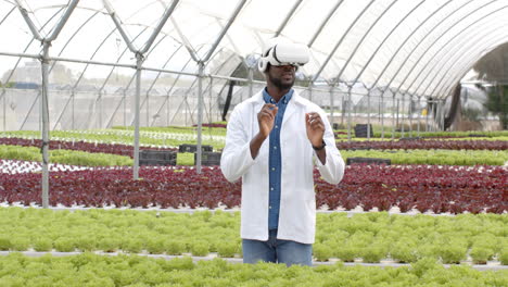 using vr headset, african american man in white coat inspecting hydroponic farm greenhouse