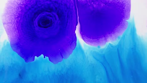 violet and blue ink swirls in water resembling floral patterns, abstract and artistic