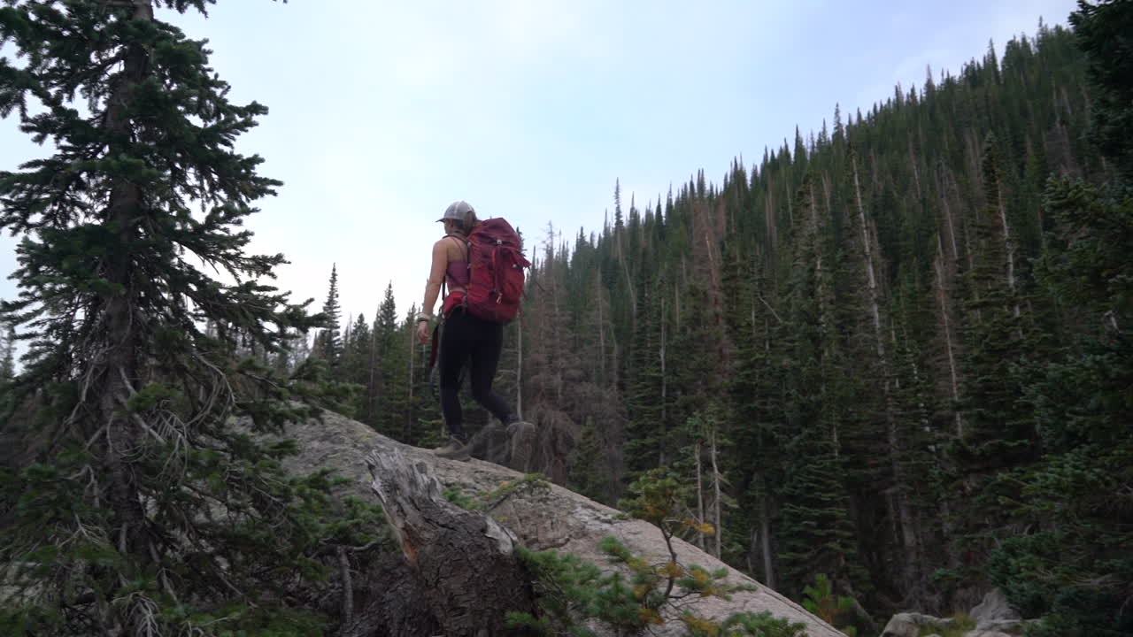 excursionista femenina con mochila y cámara fotográfica escalando en roca en el bosque de coníferas