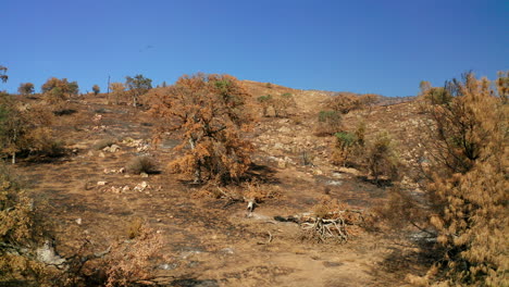 pull back from a hillside scorched by seasonal wildfires in southern california's red mountain area