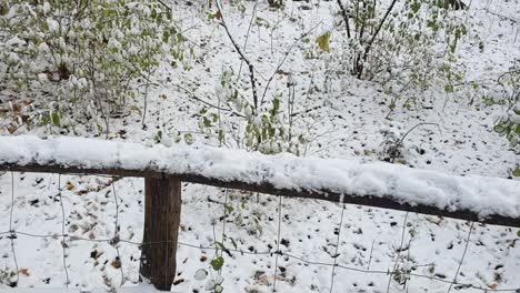 Diagonal-pan-up-to-the-left-Berlin-in-wintertime-in-the-Park-Hasendheide-covered-with-snow-HD-30-FPS-5sec