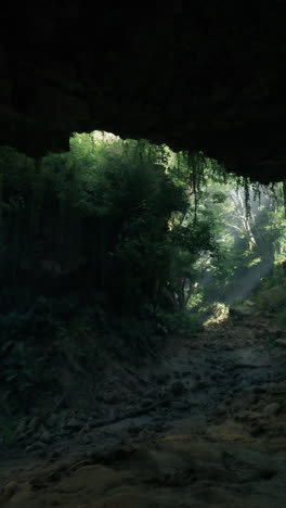 la luz del sol fluye a través de una cueva oscura que se abre en un bosque verde y exuberante.