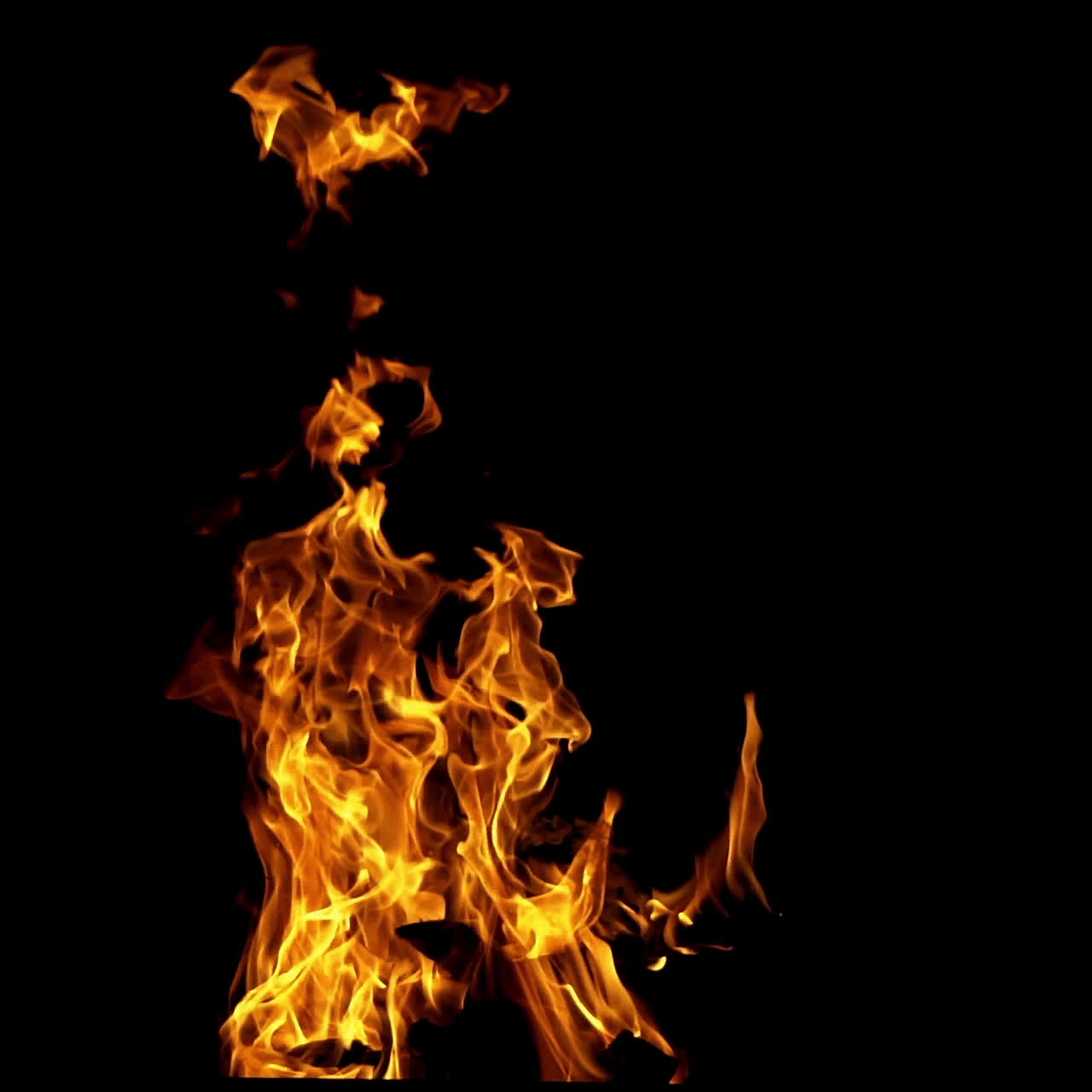 Fire flame on the black background. Fire in darkness. Slow motion