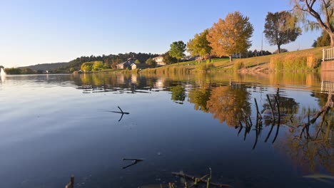 reflection of trees on lake