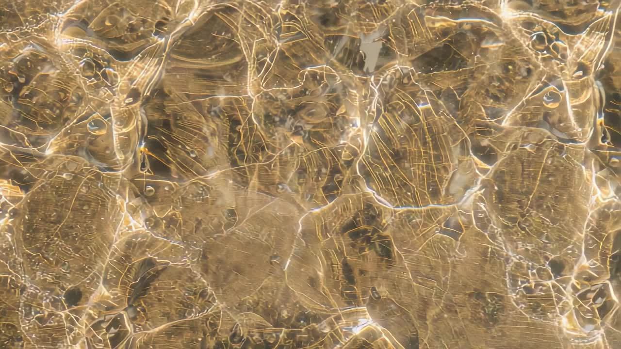 Refracting sunlight creating shifting caustics on clear water above sandy seabed, revealing pebbles
