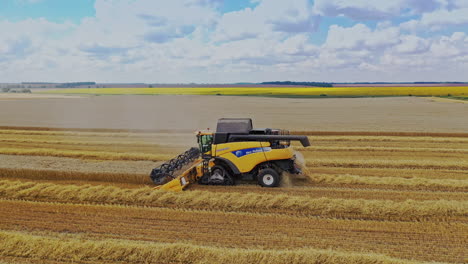 harvesting grain field. aerial view of combine harvesters gathers the wheat
