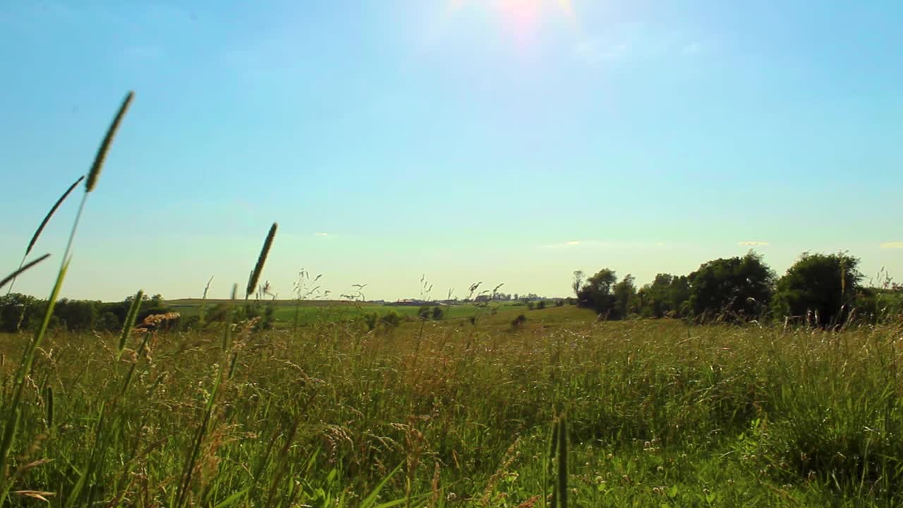 철조망을 통해 들판에서 매체 공개