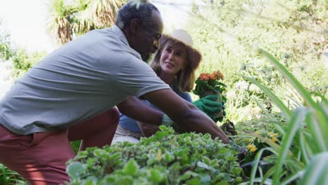 feliz pareja de ancianos diversos plantando plantas en su jardín y hablando