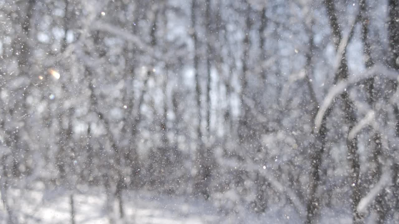 Vinterlandskap under snøfall. Abstrakt vinter- og julebakgrunn i super slow motion