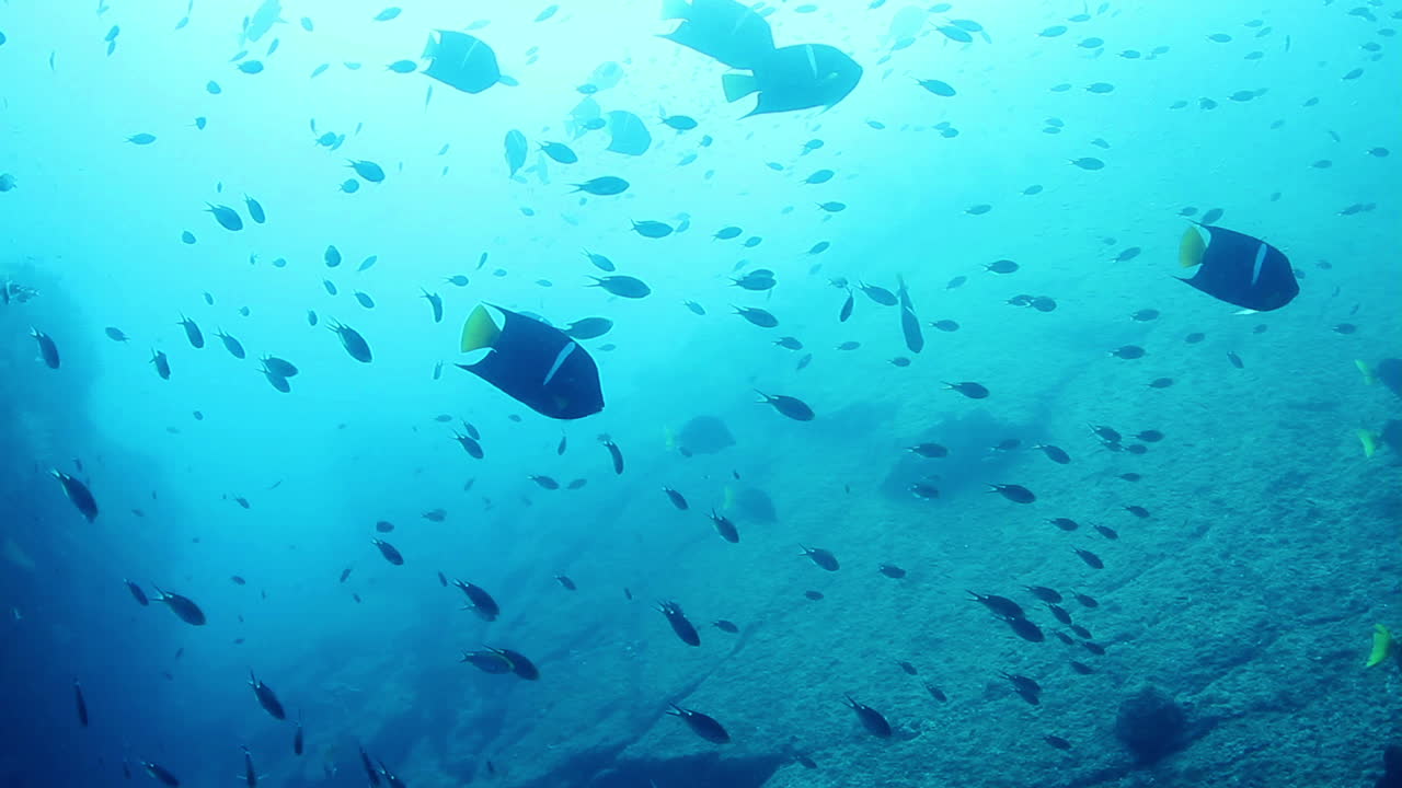 멕시코 다이빙 0 28