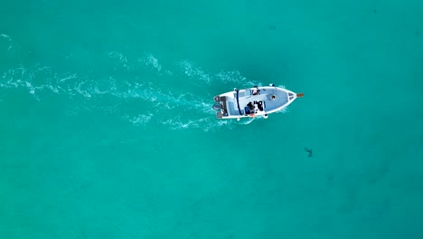 top down drone video of a boat sailing in the blue lagoon on comino island, malta