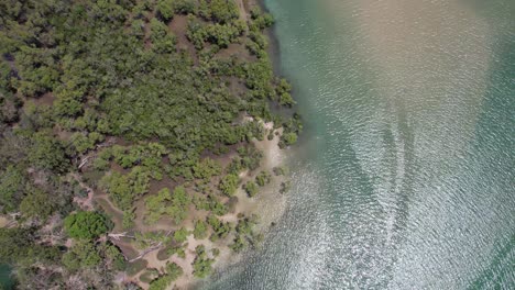 Tallebudgera-Creek-And-Vegetation-In-Queensland,-Australia---Aerial-Top-Down